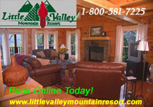 Little Valley Mountain Resort  - Log cabins and chalets in Pigeon Forge and Sevierville, Tennessee